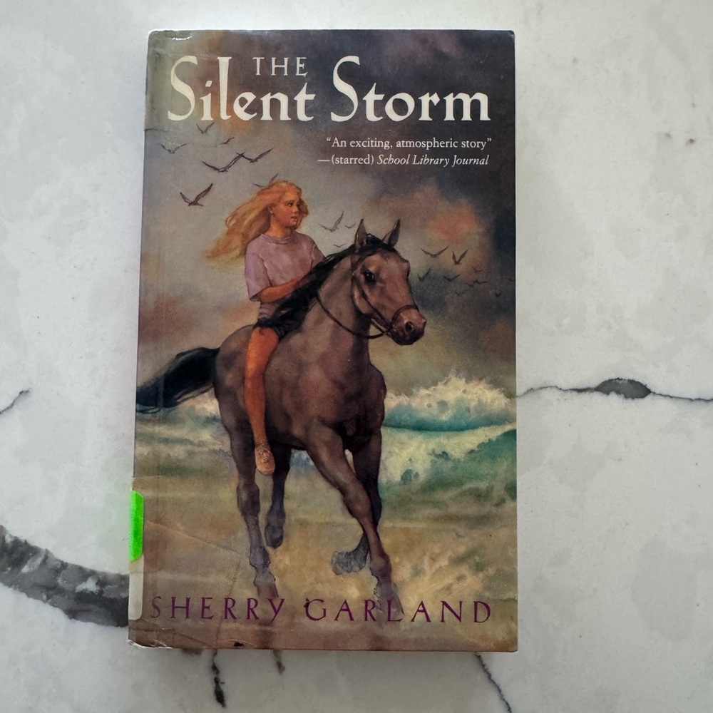The Silent Storm